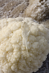 Image showing Salt stones on the Dead Sea beach