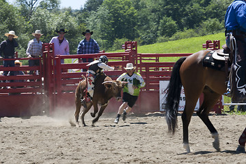 Image showing Rodeo