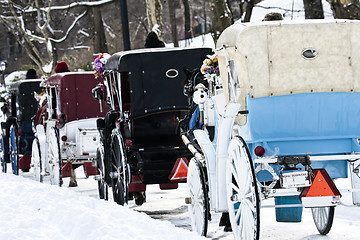 Image showing Horse Carriages