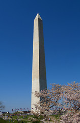 Image showing Washington monument on sunny day