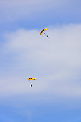 Image showing Flying parachutists on sky 