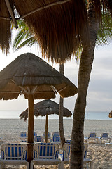 Image showing Beautiful Caribbean beach 