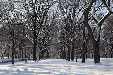 Image showing Central Park, New York. Beautiful park in beautiful city. 