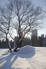 Image showing Central Park, New York. Beautiful park in beautiful city. 