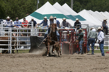 Image showing Rodeo