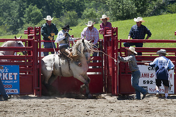 Image showing Rodeo