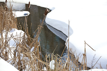 Image showing Stream in winter park