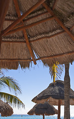 Image showing Straw umbrellas on Caribbean beach
