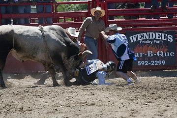 Image showing Rodeo