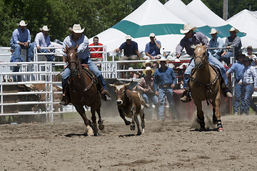 Image showing Rodeo