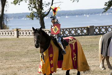 Image showing Ready to fight knight