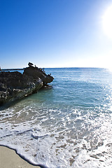 Image showing Pelicans are sitting on rocks 