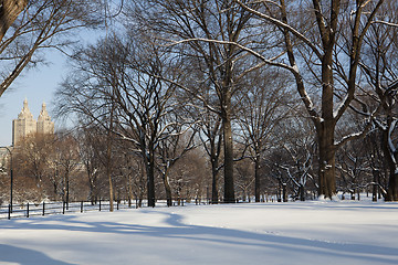 Image showing Central Park, New York. Beautiful park in beautiful city. 