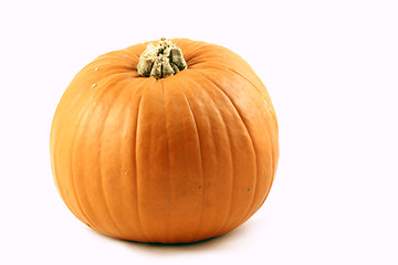 Image showing pumpkin