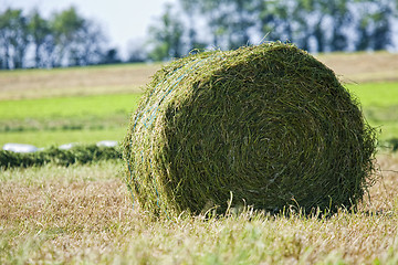 Image showing The Roll of Straw