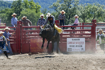 Image showing Rodeo