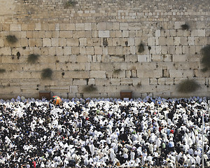 Image showing Blessing Cohen at the Western Wall in the Sukkot holiday in Jeru
