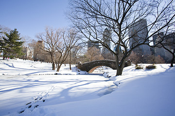 Image showing Central Park, New York. Beautiful park in beautiful city. 