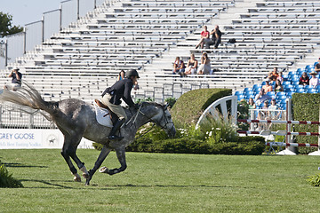 Image showing show jumping 