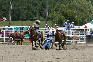 Image showing Rodeo