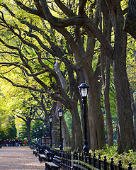 Image showing Central Park