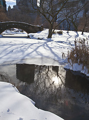 Image showing Central Park, New York. Beautiful park in beautiful city. 