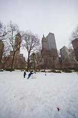 Image showing Snow in New York City