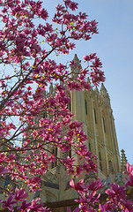 Image showing Washington national cathedral