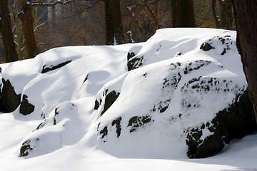 Image showing Snowy rock in Central Park Manhattan