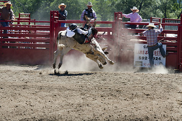 Image showing Rodeo