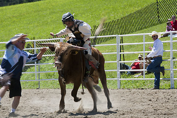 Image showing Rodeo