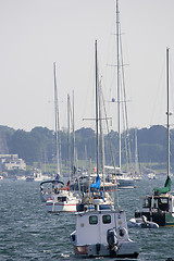 Image showing Newport Rhode Island Harbor 