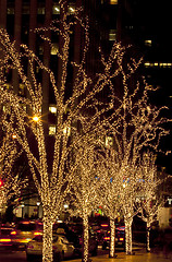 Image showing Christmas. Illuminated trees.