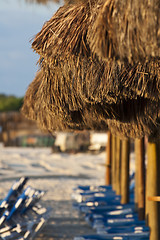 Image showing Sraw umbrella at sandy beach