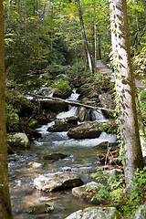 Image showing Forest waterfall in Helen Georgia.