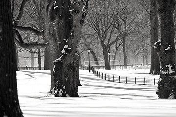 Image showing Central Park, New York. Beautiful park in beautiful city. 