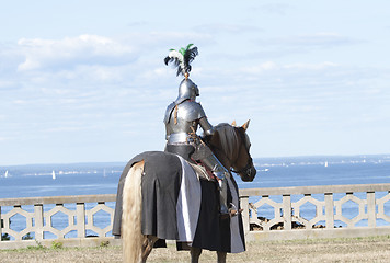 Image showing Medieval Knight 
