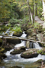 Image showing Forest waterfall in Helen Georgia.