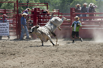 Image showing Rodeo