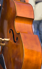 Image showing Contrabass