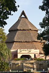 Image showing Tropical house with straw roof