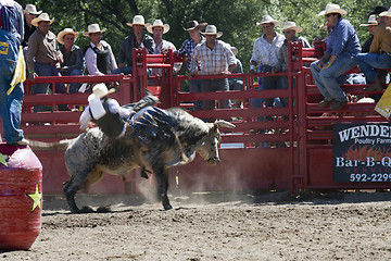 Image showing Rodeo