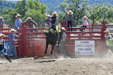 Image showing Rodeo