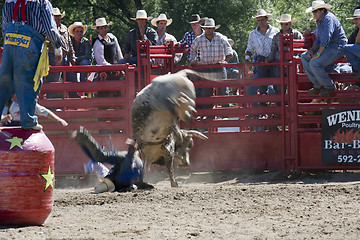 Image showing Rodeo