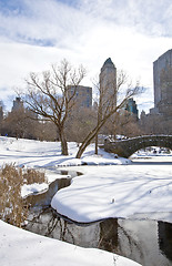 Image showing Central Park, New York. Beautiful park in beautiful city. 