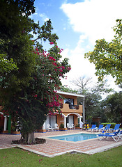 Image showing Beautiful pool and patio in tropical setting 