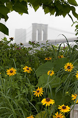 Image showing New York - Brooklyn Bridge