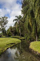 Image showing Warm Mineral Springs In North Port, Florida