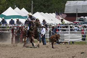 Image showing Rodeo