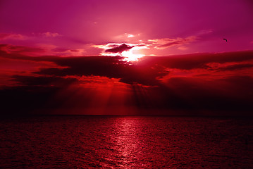 Image showing Sunset, Gulf of Mexico